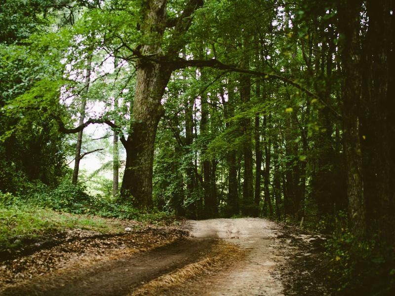 sudoku strategy guide screenshot 4